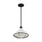 Nuvo Fixture, Pendant, 1-Light, Incandescent, 60W, 120V, A19, Medium Base 60/7024 - alternate 4